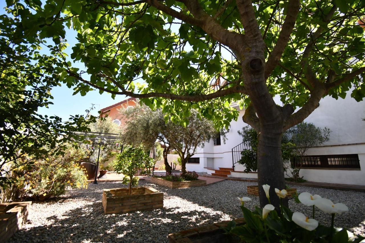 Villa Maria, Piscina Y Spa Exterior Privado Belicena Esterno foto